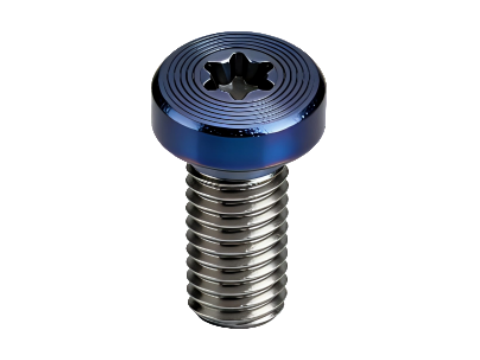 Tornillo de cabeza avellanada Torx con recubrimiento PVD y acabado CD