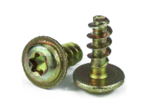 PT Torx Pan Head Flange Thread-Forming Screw for Pl