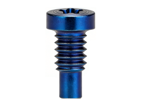Torx Cvlinder Head PVD CD Textu