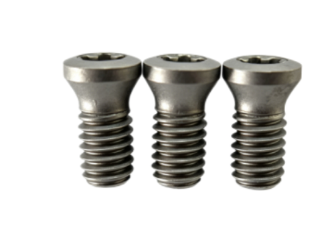 Tornillo de Herramienta TORX PL