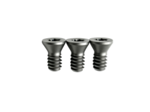 Tornillo de Herramienta TORX PL