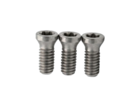 Tornillo de Herramienta TORX PL