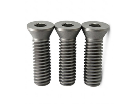 Tornillo de Herramienta TORX® 