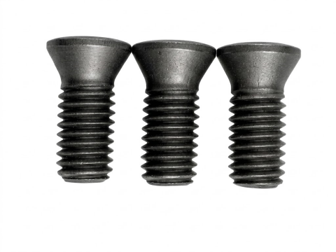 Tornillo de Herramienta TORX® 